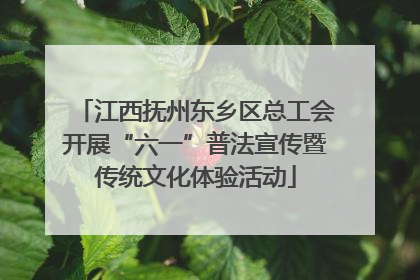 江西抚州东乡区总工会开展“六一”普法宣传暨传统文化体验活动