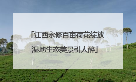 江西永修百亩荷花绽放 湿地生态美景引人醉