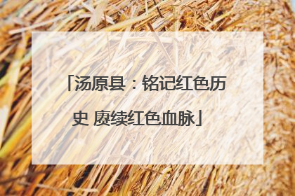 汤原县：铭记红色历史 赓续红色血脉