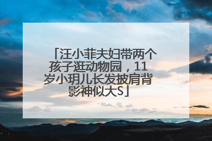 汪小菲夫妇带两个孩子逛动物园，11岁小玥儿长发披肩背影神似大S
