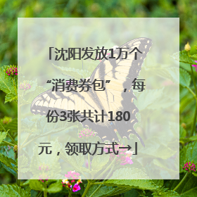 沈阳发放1万个“消费券包”，每份3张共计180元，领取方式→