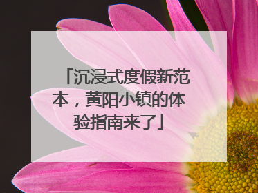 沉浸式度假新范本，黄阳小镇的体验指南来了