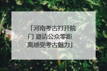 河南考古打开院门 邀请公众零距离感受考古魅力