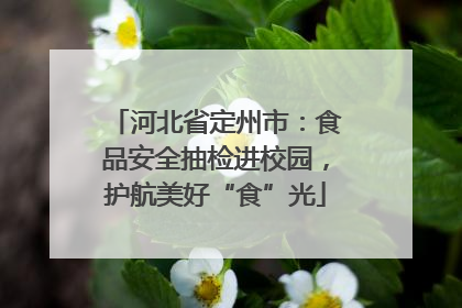 河北省定州市：食品安全抽检进校园，护航美好“食”光
