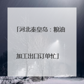 河北秦皇岛：粮油加工出口订单忙