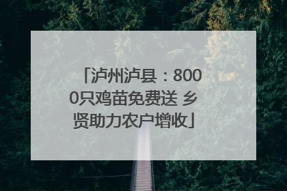 泸州泸县：8000只鸡苗免费送 乡贤助力农户增收