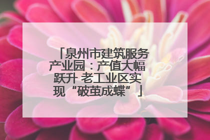 泉州市建筑服务产业园：产值大幅跃升 老工业区实现“破茧成蝶”