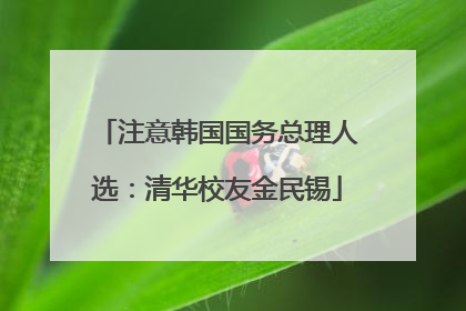 注意韩国国务总理人选：清华校友金民锡