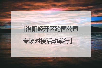 洛阳经开区跨国公司专场对接活动举行