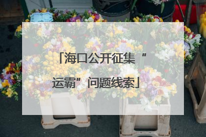 海口公开征集“运霸”问题线索