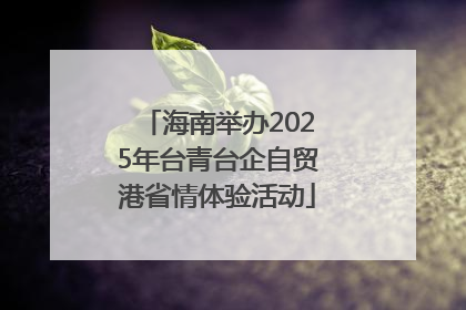 海南举办2025年台青台企自贸港省情体验活动