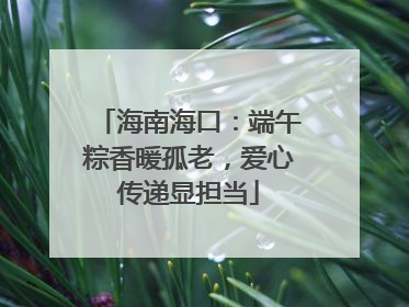 海南海口：端午粽香暖孤老，爱心传递显担当