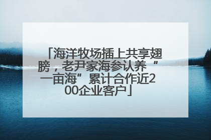 海洋牧场插上共享翅膀，老尹家海参认养“一亩海”累计合作近200企业客户
