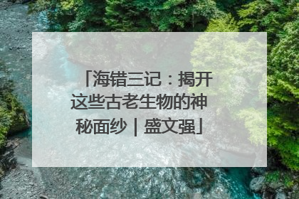 海错三记：揭开这些古老生物的神秘面纱｜盛文强