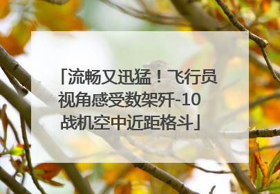 流畅又迅猛！飞行员视角感受数架歼-10战机空中近距格斗