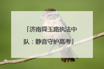 济南舜玉路执法中队：静音守护高考