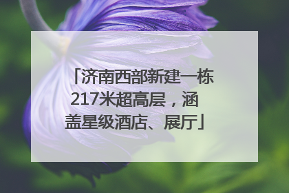 济南西部新建一栋217米超高层，涵盖星级酒店、展厅