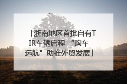 浙南地区首批自有TIR车辆启程 “购车远航”助推外贸发展