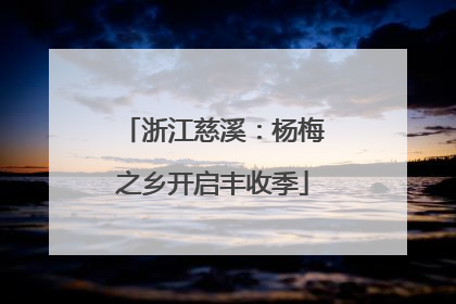 浙江慈溪：杨梅之乡开启丰收季