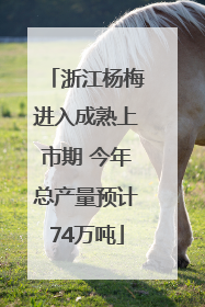 浙江杨梅进入成熟上市期 今年总产量预计74万吨