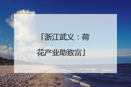 浙江武义：荷花产业助致富