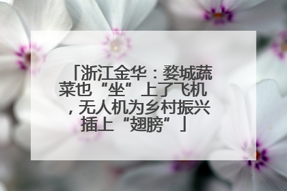 浙江金华：婺城蔬菜也“坐”上了飞机，无人机为乡村振兴插上“翅膀”