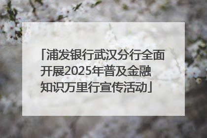 浦发银行武汉分行全面开展2025年普及金融知识万里行宣传活动