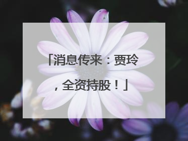 消息传来：贾玲，全资持股！