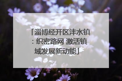 淄博经开区沣水镇：织密路网 激活镇域发展新动能
