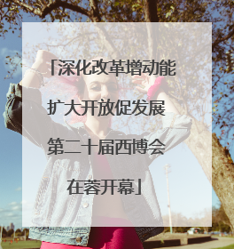 深化改革增动能 扩大开放促发展 第二十届西博会在蓉开幕