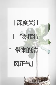 深度关注丨“零接待”带来的清风正气
