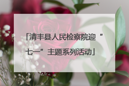 清丰县人民检察院迎“七一”主题系列活动