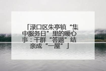 渌口区朱亭镇“集中服务日”里的暖心事：干群“答题”结亲成“一屋”