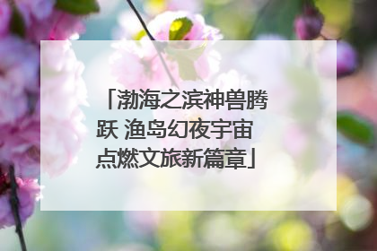 渤海之滨神兽腾跃 渔岛幻夜宇宙点燃文旅新篇章