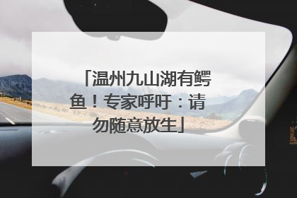 温州九山湖有鳄鱼！专家呼吁：请勿随意放生