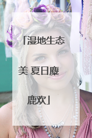 湿地生态美 夏日麋鹿欢