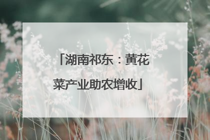 湖南祁东：黄花菜产业助农增收