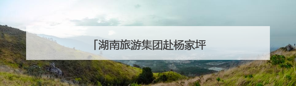湖南旅游集团赴杨家坪村调研乡村振兴工作