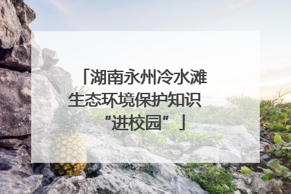 湖南永州冷水滩生态环境保护知识“进校园”