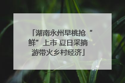 湖南永州早桃抢“鲜”上市 夏日采摘游带火乡村经济