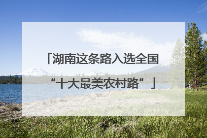 湖南这条路入选全国“十大最美农村路”