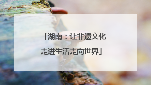 湖南：让非遗文化走进生活走向世界
