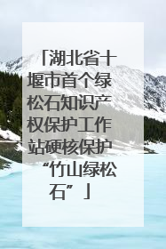 湖北省十堰市首个绿松石知识产权保护工作站硬核保护“竹山绿松石”