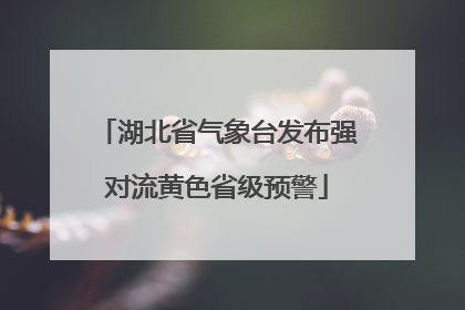 湖北省气象台发布强对流黄色省级预警