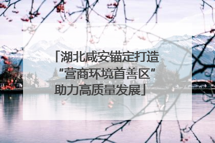 湖北咸安锚定打造“营商环境首善区”助力高质量发展
