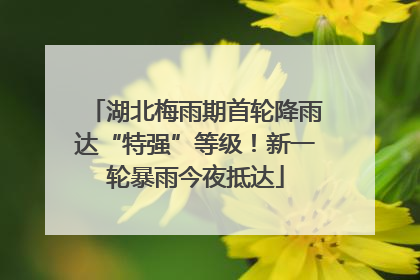 湖北梅雨期首轮降雨达“特强”等级！新一轮暴雨今夜抵达