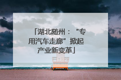 湖北随州：“专用汽车走廊”掀起产业新变革