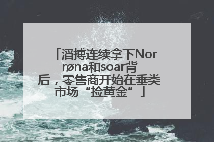 滔搏连续拿下Norrøna和soar背后，零售商开始在垂类市场“捡黄金”