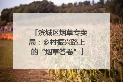 滨城区烟草专卖局：乡村振兴路上的“烟草答卷”