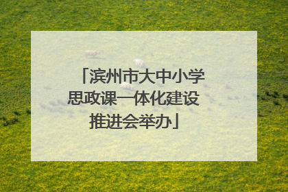 滨州市大中小学思政课一体化建设推进会举办